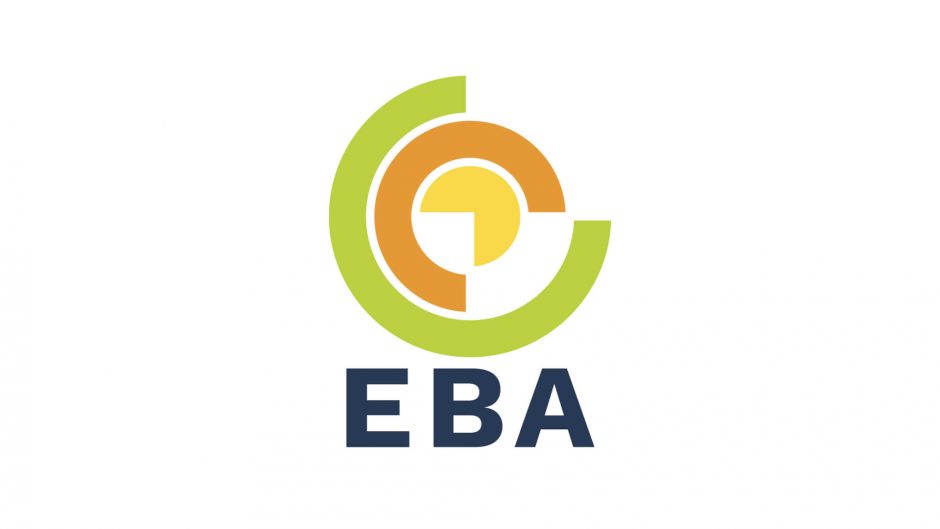 NEW Sub-Project: EBA Project