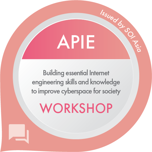 APIE IG e-Workshop